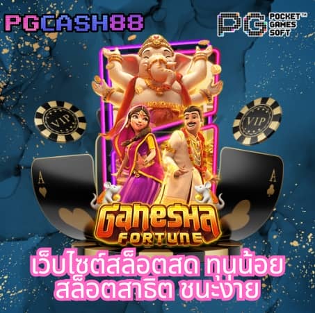 pg wallet 789